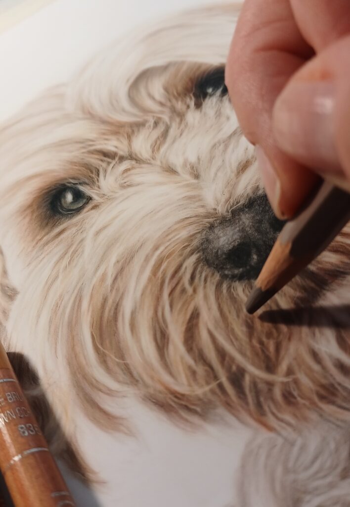 Drawing a dog