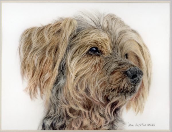 Dog drawing