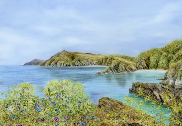 Broadsands Beach & Little, Hangman, North Devon, The Salt Path