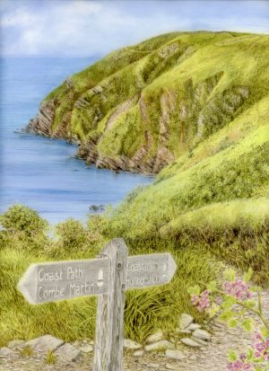 Holdstone Down, Exmoor, The Salt Path