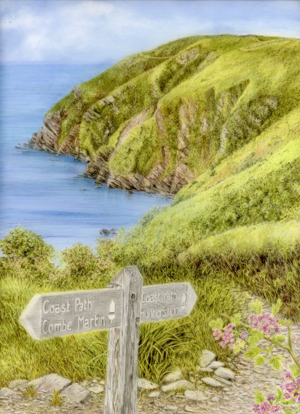 Holdstone Down, Exmoor, The Salt Path